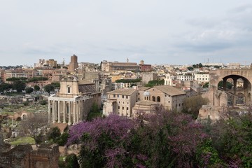 Fototapeta na wymiar Rome Overview
