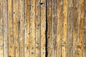 Ancient Wood Background