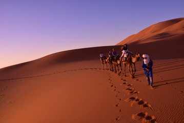 Sahara desert caravan 