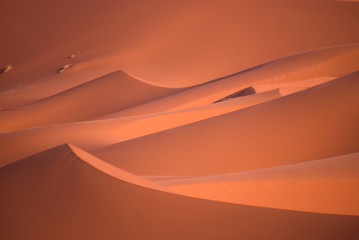 Sahara desert - Powered by Adobe