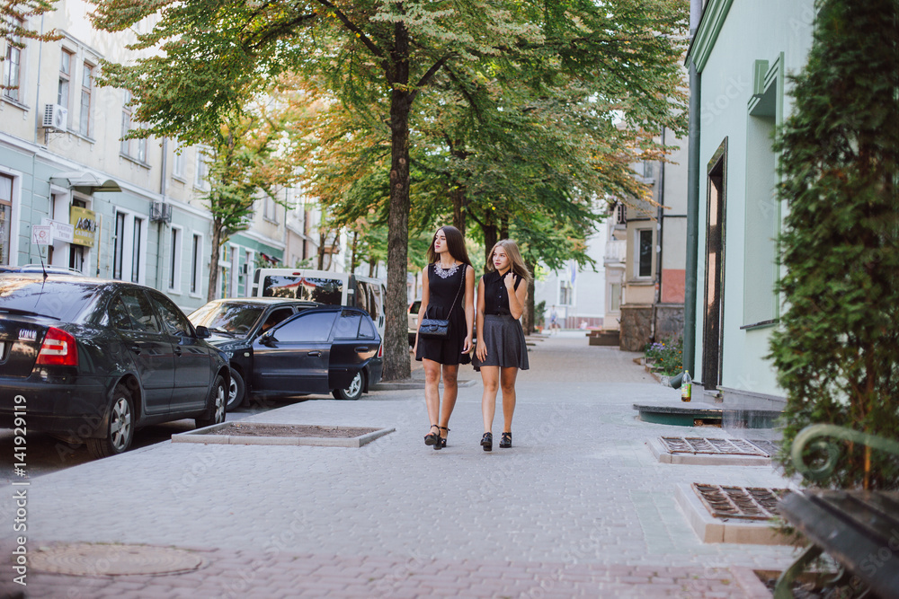 Wall mural two girls HD