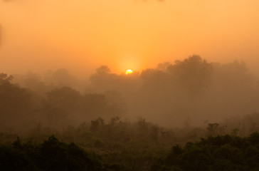 Sunrise over the jungle forest, Chitwan national park, Nepal
