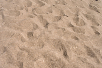 Fine beach sand in the summer sun