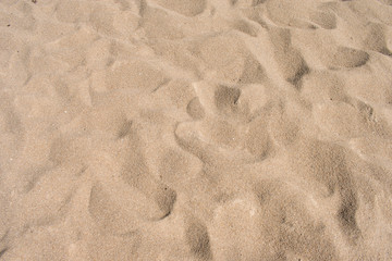 Fine beach sand in the summer sun