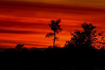 Fototapeta na wymiar sunset beautiful colorful landscape in blue sky evening nature twilight time and silhouette tree