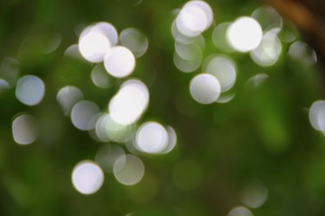 Bokeh abstract beautiful nature warm background with copy space.