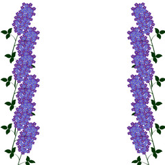 Background with lilac flowers, frame, border. Template for invitations, congratulations, greeting cards.