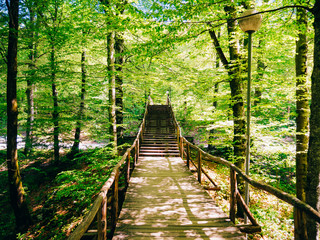 Wooden bridge in the forest. Near Plitvice Lakes, Croatia.