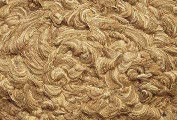Wasp nest abstract texture background