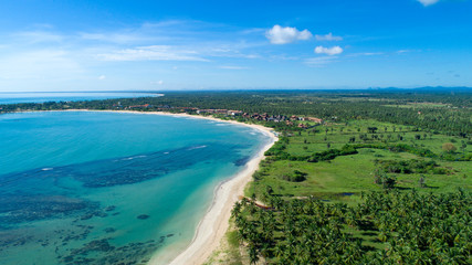 Tropical beach with sea and palm taken from drone.