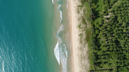 Tropical beach with sea and palm taken from drone.
