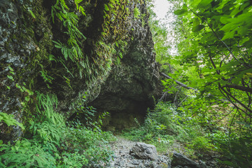 Cave Entrance in Lush, Green Forest