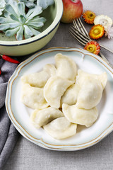Traditional polish dumplings
