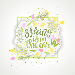 Spring is in the air greeting card vector