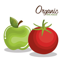 organic product guaranteed seal vector illustration design