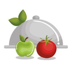 organic product guaranteed seal vector illustration design