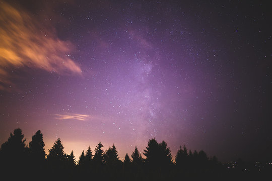 Milky Way Above Forest Trees