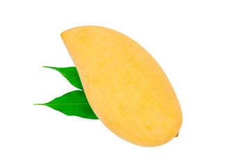 fresh mango on white background