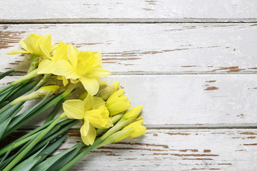 Beautiful yellow daffodils on white wooden table.