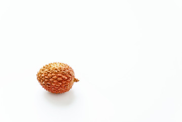 Lychee