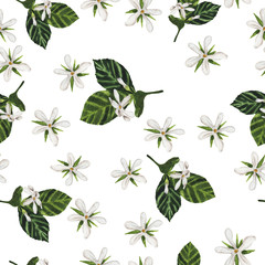 Seamless pattern with white flowers and beads and green leaves painted by watercolor . Hand drawn illustration.