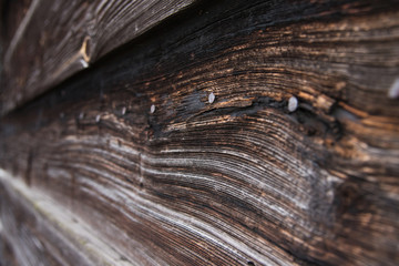 Obraz premium Old wood textured background with stuffed nails, impressive background