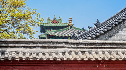 Fototapeta na wymiar China, the Shaolin Monastery./China, the Shaolin Monastery. The roofs of the buildings of the temple against the blue cloudless sky.