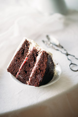 Berry chocolate cake with cream for rustic style wedding. Spring summer concept