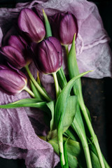 Fototapeta premium Tulips background. Design for your post card