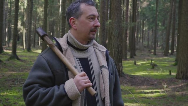 The logger walks with an ax in the woods and chooses trees