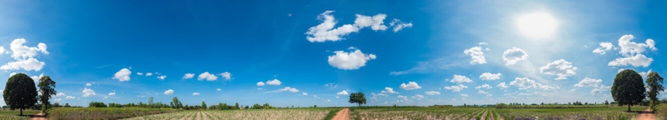 panorama view of countryside with small plant crops