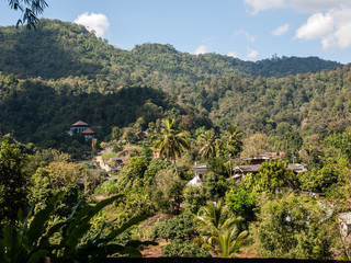 The village in the nature