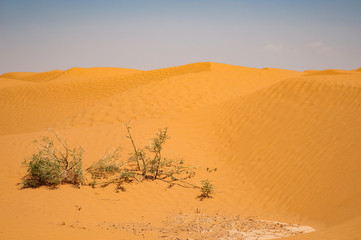 Fototapeta na wymiar In der Sahara