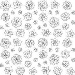 Hand drawn succulent plant. Vector illustration isolated on white background. Seamless pattern. Design for wrapping paper, fabric background