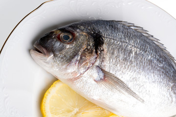 Raw fish and lemon on a white porcelain plate with golden trim