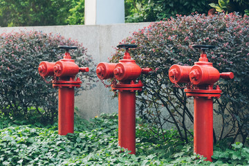 Fototapeta na wymiar row of Red Fire Hydrants on grass.