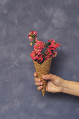 Beautiful flower in ice cream cone in girls hand on cement background