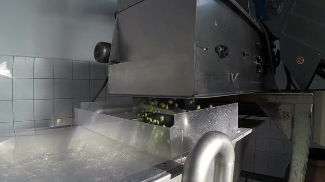 The process of olive washing in a modern oil mill
