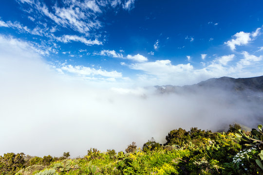 Macizo De Anaga - The Subtropical Biosphere Reserve