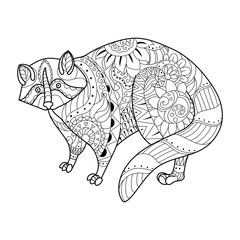 Raccoon coloring book vector illustration