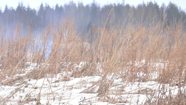 Infantry fighting vehicle moves through the snow.