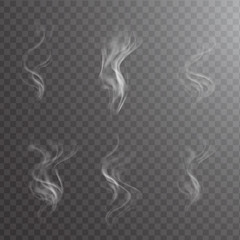White cigarette smoke waves on transparent. Transparent white steam over cup on dark background background vector illustration.