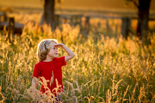 cute blonde child in a field at sunset