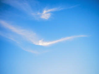 Fototapeta na wymiar beautiful summer sky with fluffy cloud on blue