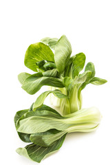 Bunch of fresh green baby bok choy, on white background