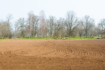 Obraz premium Sowing field in spring landscapes