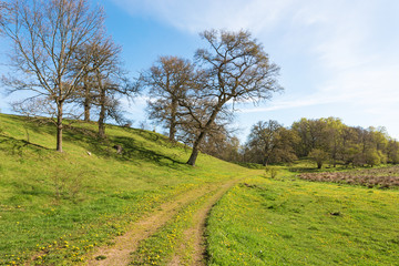 Fototapeta na wymiar Grass road at the hills in the spring landscape
