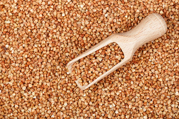 scoop on brown buckwheat