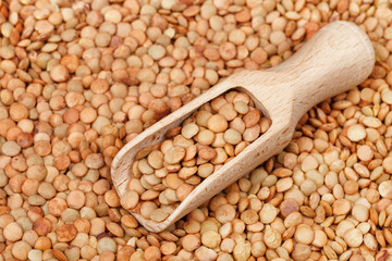 Fototapeta na wymiar scoop on brown lentils background