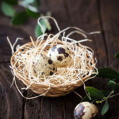 Naklejka na ściany i meble Easter concept - decorative bird nest with quail eggs and olive branches against dark rustic background